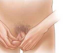 exerciții de jelqing pentru mărirea penisului