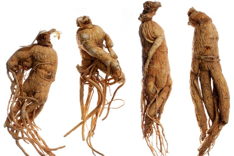 rădăcină de ginseng pentru mărirea penisului